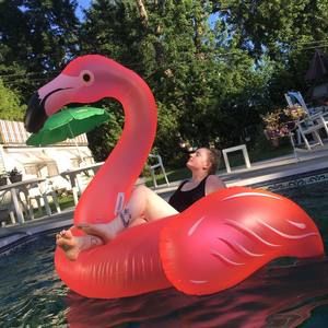 Meet your Posher, Shelby